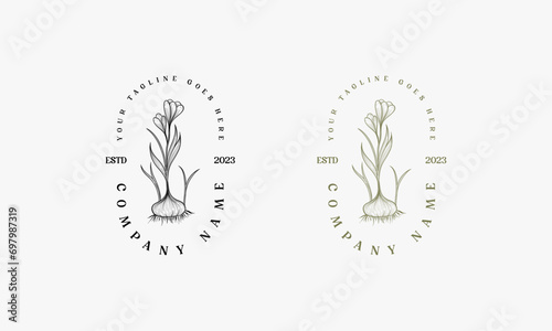 flowers hand drawn vintage logo  Botanical Logo template  Natural and organic logo for branding  corporate identity and business card