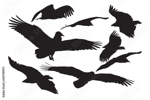 Vultures flying differently from each other. Vector images.  © serkanmutan