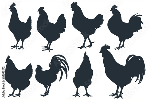 Hen chicken silhouette set, Hen silhouette, Set of chicken rooster silhouette vector