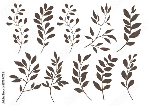 Set of leaves. Hand drawn decorative elements. Vector illustration photo