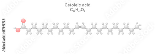 Cetoleic acid. Simplified scheme of the molecule. Unsaturated fatty acid.