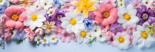 background of spring flowers for card for holidays purple  blue  pink flowers on paper background  panorama