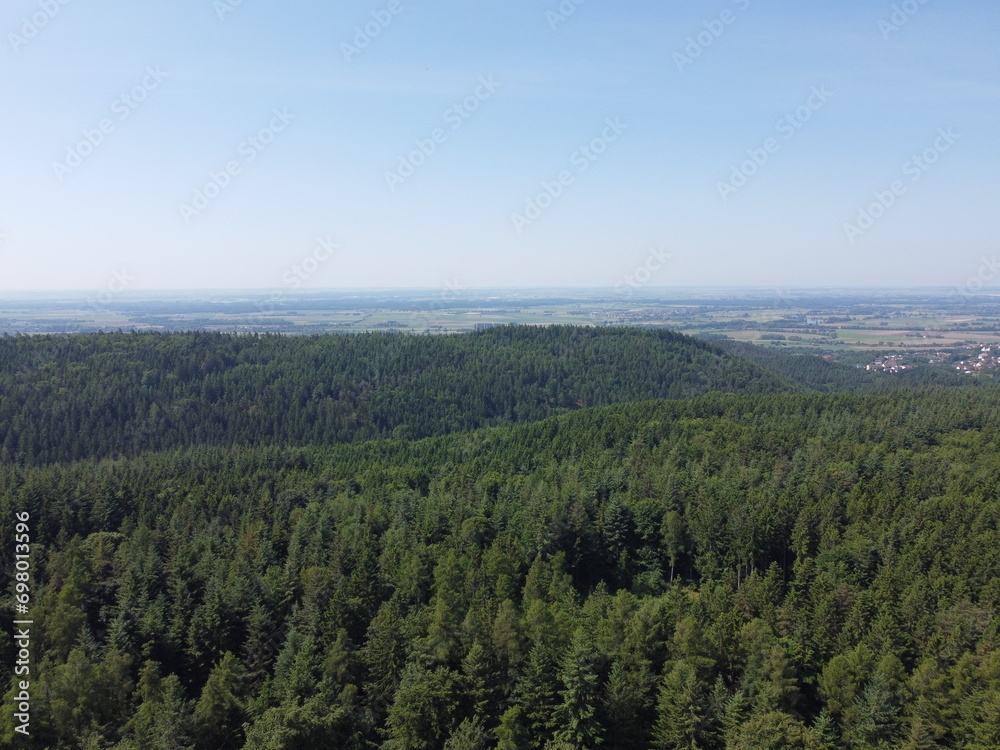 forest with fields and meadows, aerial