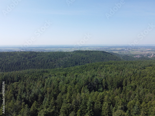 forest with fields and meadows  aerial