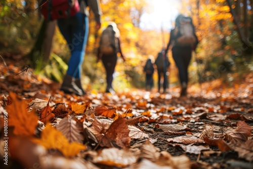 Captivating Autumn Hike With Friends Amidst Forest Trail Adorned With Falling Leaves