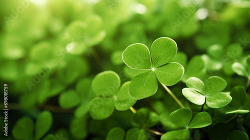 Lucky clover leaves for St. Patrick's Day. Banner with Irish clover leaves