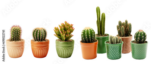 set of small different types of cactus Plants in beautiful ceramic pots png