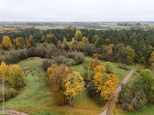 an aerial view of a tree filled field surrounded by trees photo