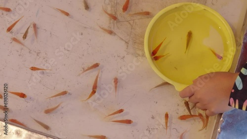 お祭りの屋台、金魚すくい