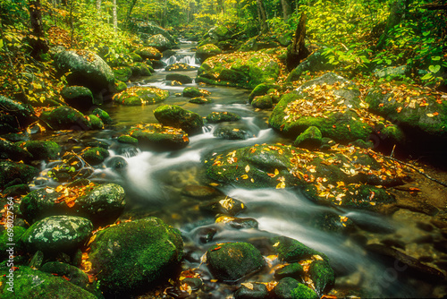 Autumn alongg Roaring Fork Creek, Great Smoky Mountains National