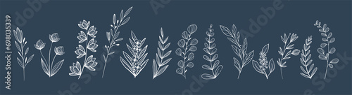 collection de plantes et herbes graphiques au trait blanc sur fond bleu photo