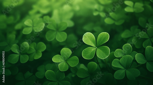 Lucky clover leaves for St. Patrick's Day. Banner with Irish clover leaves