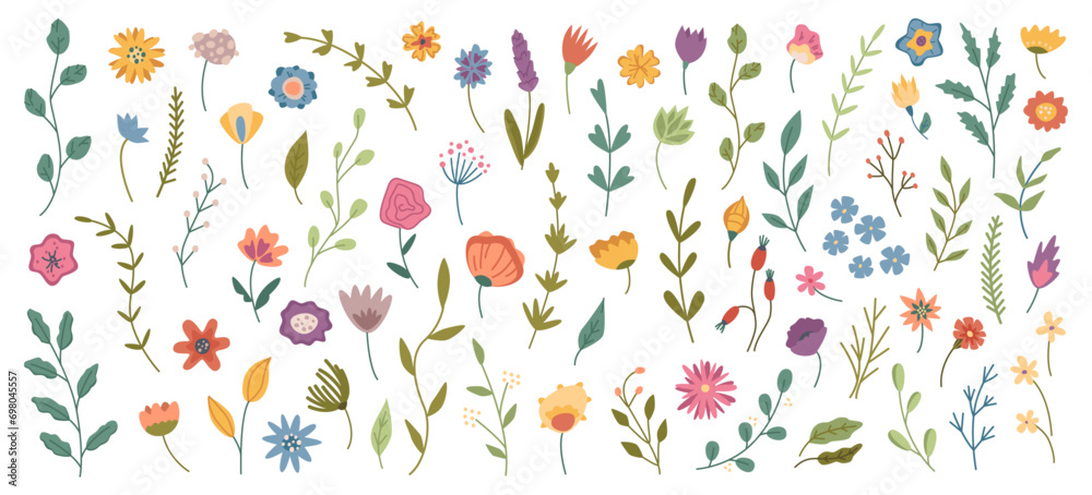 Florist composition with leaves and flowers, blossom of spring or summer. Vector isolated plants and wildflowers, tulips and poppies, daisies and branches with foliage and stems leafage