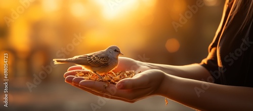 Silhouette hand of woman praying and free bird enjoying nature on sunrise photo