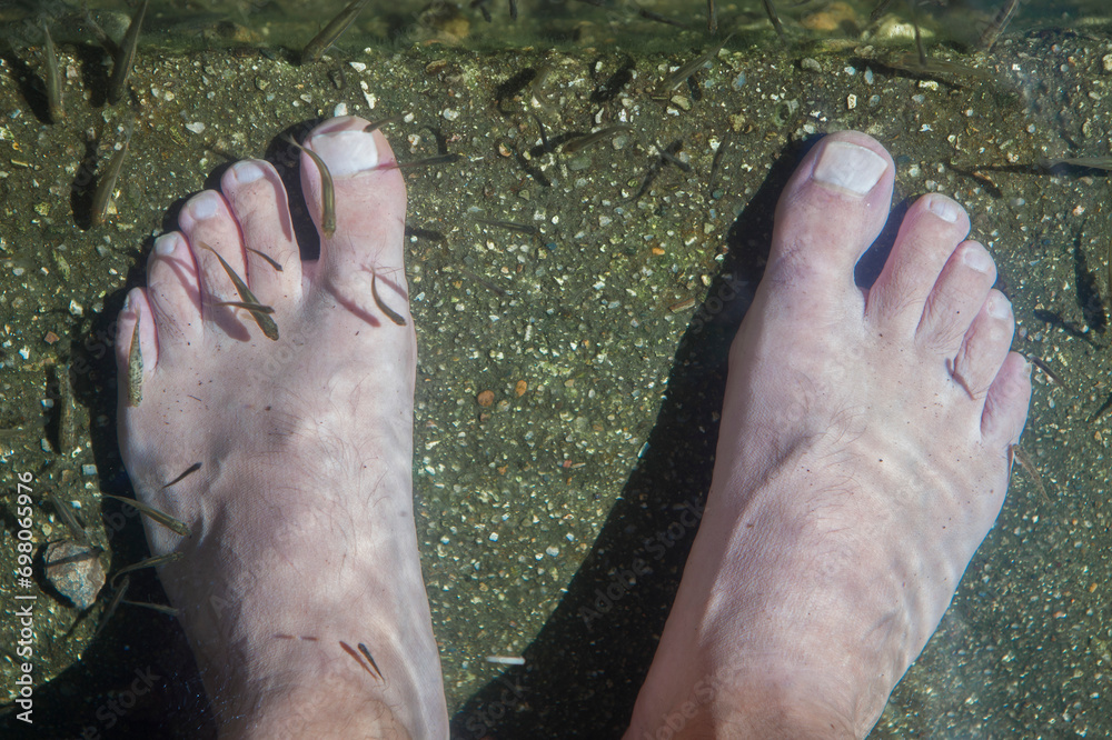 Natural massage therapy with fish, Sierra de Gata, Spain