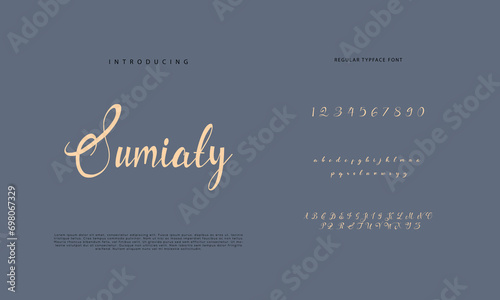 Signature Font Calligraphy Logotype Script Brush Font Type Font lettering handwritten
