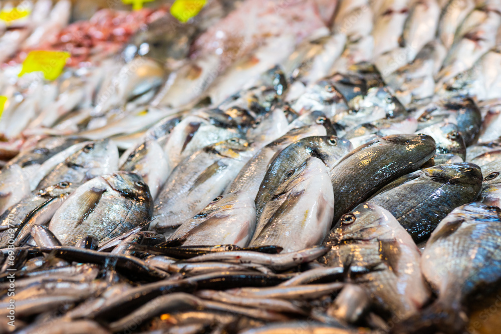 Close-up of fresh raw dorado fish and sea bass in ice on the counter in a local fish market