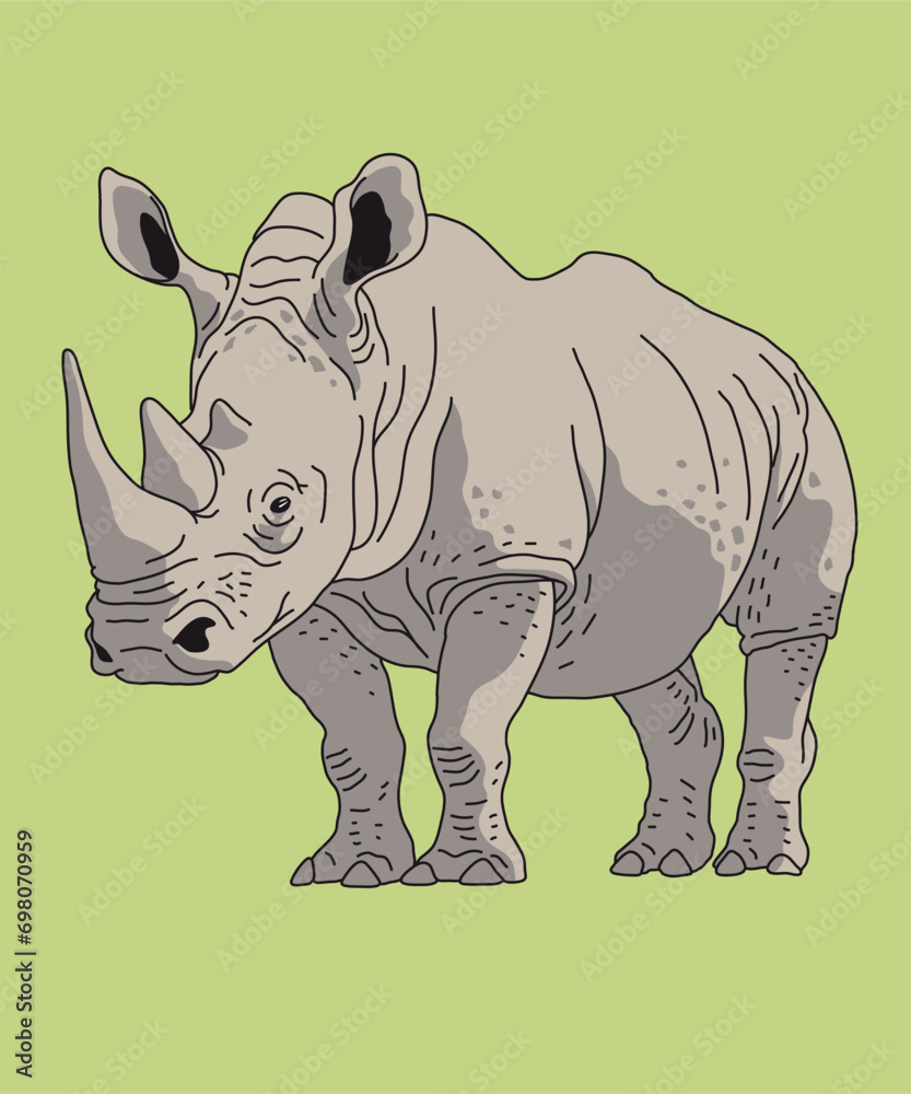 Fototapeta premium Rhino Rhinoceros Standing Front View