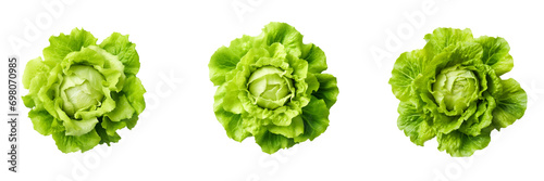 Set of Iceberg lettuce top view. Lettuce leaves. Isolated on a white background. photo