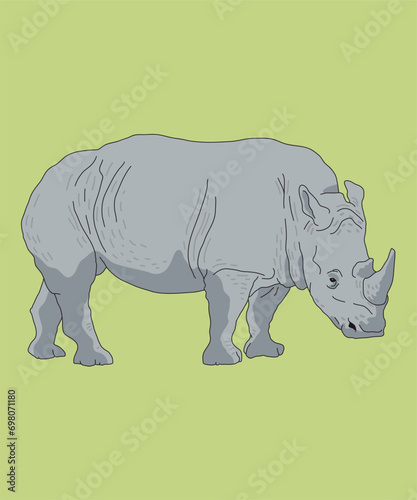 Rhino Rhinoceros Standing Side View
