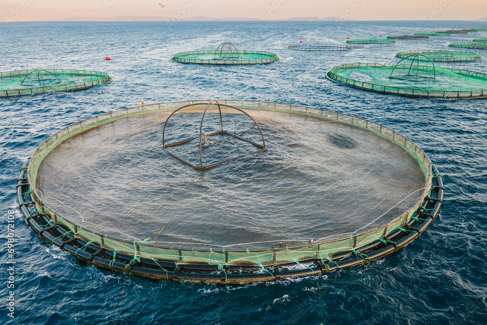 Naklejka premium Close-up of aquaculture saltwater fish farm growing cages in calm waters