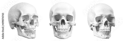 Skull with halftone stipple effect, for grunge punk y2k collage design. Pop art style dotted skeleton head. Vector illustration for vintage emo gothic art banner, rock music poster, album cover
