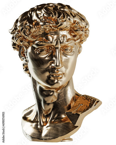 David head from Michelangelo statue (ID: 698076983)