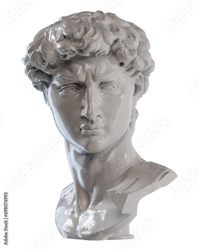 David head from Michelangelo statue (ID: 698076993)