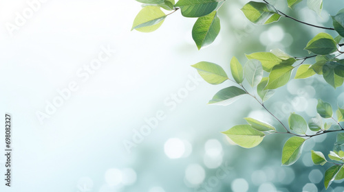 Fresh green leafy branches over a blurred background with sparkling bokeh lights. photo
