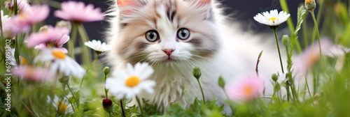Cute kitten on green lawn with flowers