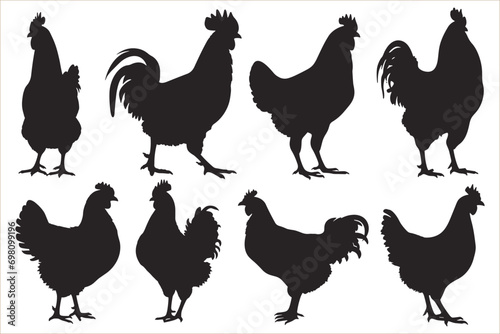 Hen chicken silhouette set, Hen silhouette, Set of chicken rooster silhouette vector