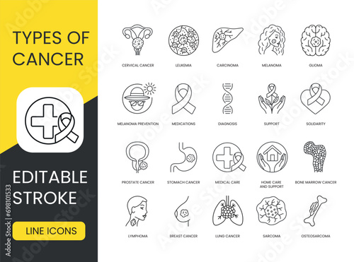 Types of cancer set vector line icons with editable stroke. Osteosarcoma and Lung Cancer, Lymphoma and Sarcoma, Breast Cancer and Glioma, Carcinoma in situ and Cervical Cancer, Melanoma and Leukemia
