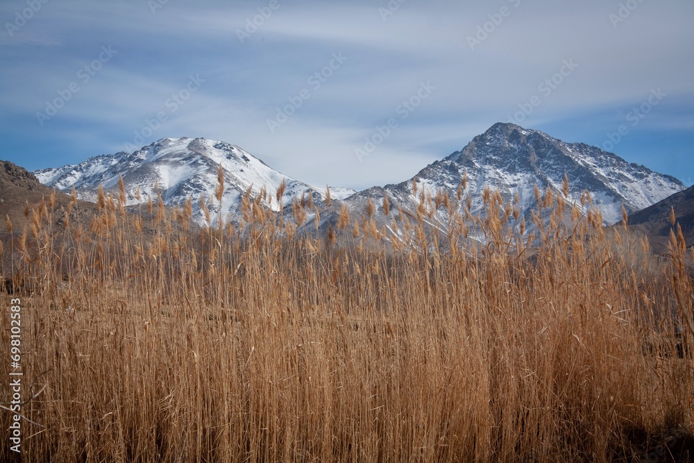 Beautiful dry grass and two mountain peaks
