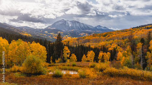 Beautiful Colorado Mountain Forest Vista with Yellow Aspen Trees. Kebler Pass Crested Butte Puddle Dramatic Clouds photo
