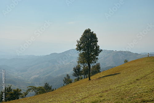 Akha Farmville, the only sheep farm of Doi Chang, Chiang Rai,Thailand photo