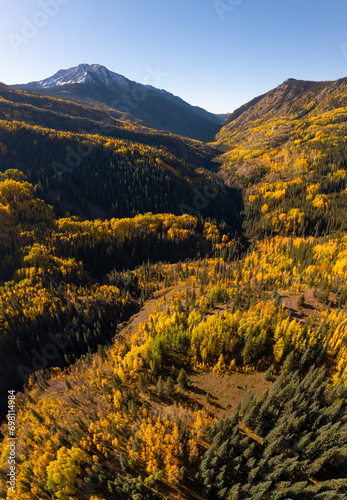 Vertical Panorama Aerial Colorado Autumn Forest Mountain Pristine Environment