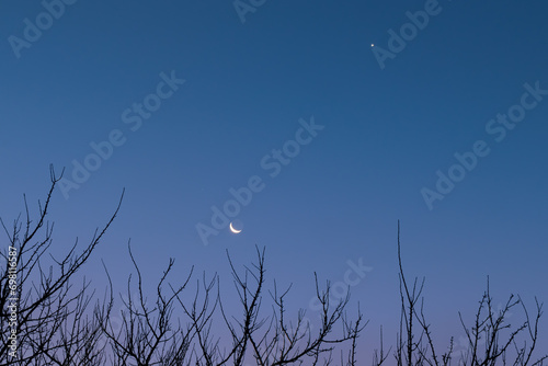 Crescent Moon and star above branches without casts against the background of a clear blue morning sky