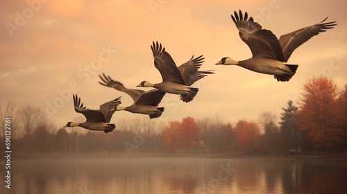 Geese flying in a V formation, signaling a change in seasons. photo