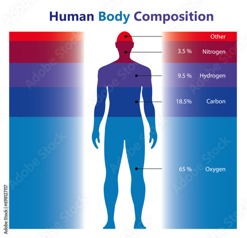 Human body  composition chart, Percentage proportions, vector illustration,  male body, silhouettes,   health, medical Chemical, Element Human Body, nitrogen, carbon, hydrogen, oxygen,  