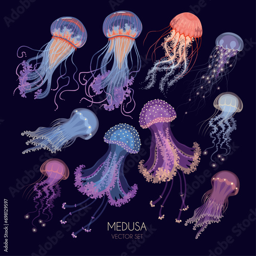 Big vector set of glowing jellyfish