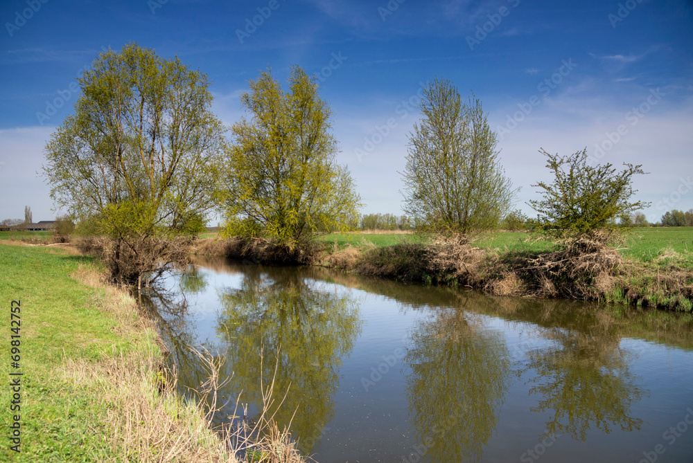 Floodplain along the IJssel near Voorst Floodplain along the IJssel near Voorst
