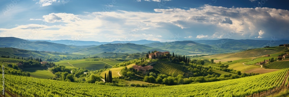 Panoramic view of a vineyard in Tuscany, wine tourism, rolling hills and grapevines