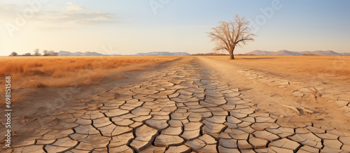 Desert landscape with dry cracked earth