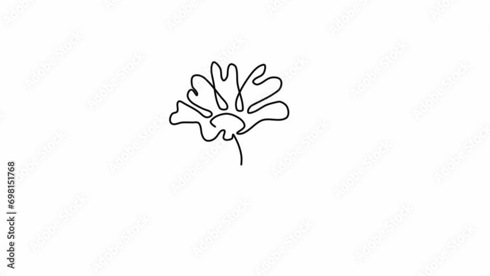 Animated self drawing of single continuous line draw for a beautiful flower on a white background. flower design in simple linear style. Plant design concept animation. full length animation Animated self drawing of single continuous line draw for a beautiful flower on a white background. flower design in simple linear style. Plant design concept animation. full length animation