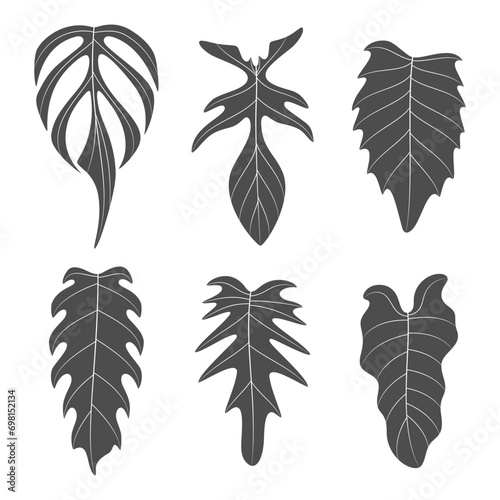 Set of black and white illustrations with monstera creeper plant leaves. Isolated vector objects on white background.