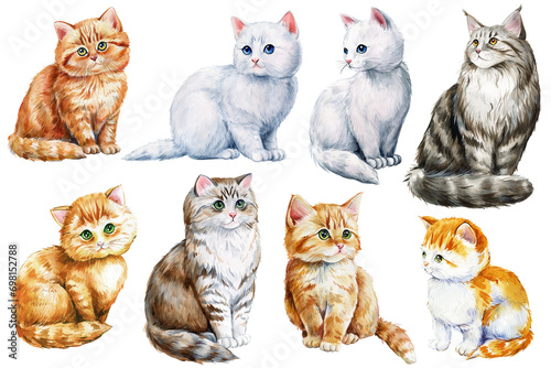 Set of cats. Cat hand drawn in watercolor, kitten isolated on white background. Domestic animal, cute pet illustration