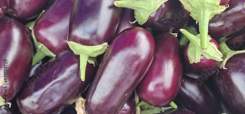 Eggplants with green stalks in a pile