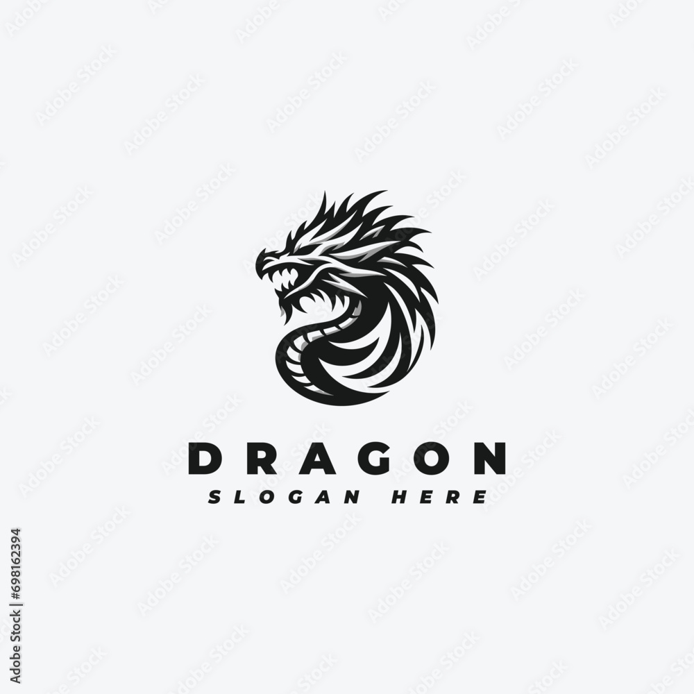 Obraz premium Dragon head logo design, with a simple pattern