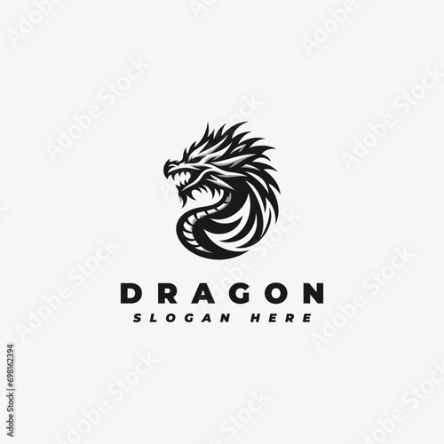 Dragon head logo design  with a simple pattern
