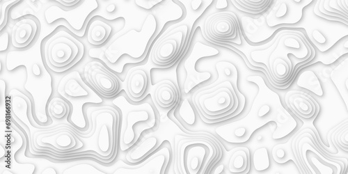Topographic map. Geographic mountain relief. Abstract lines bac lines background. Contour maps. Vector illustration, white topography contour lines map isolated on white background.